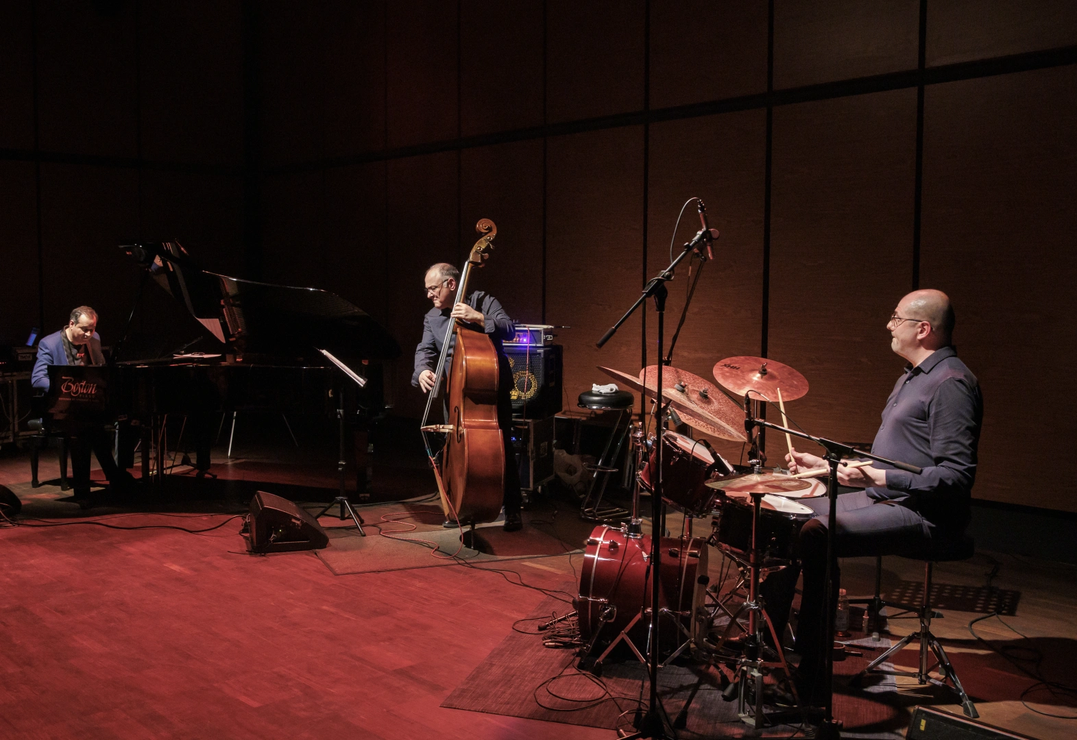 Concert Joy of life foto Maria Gindac TwoBugs 134