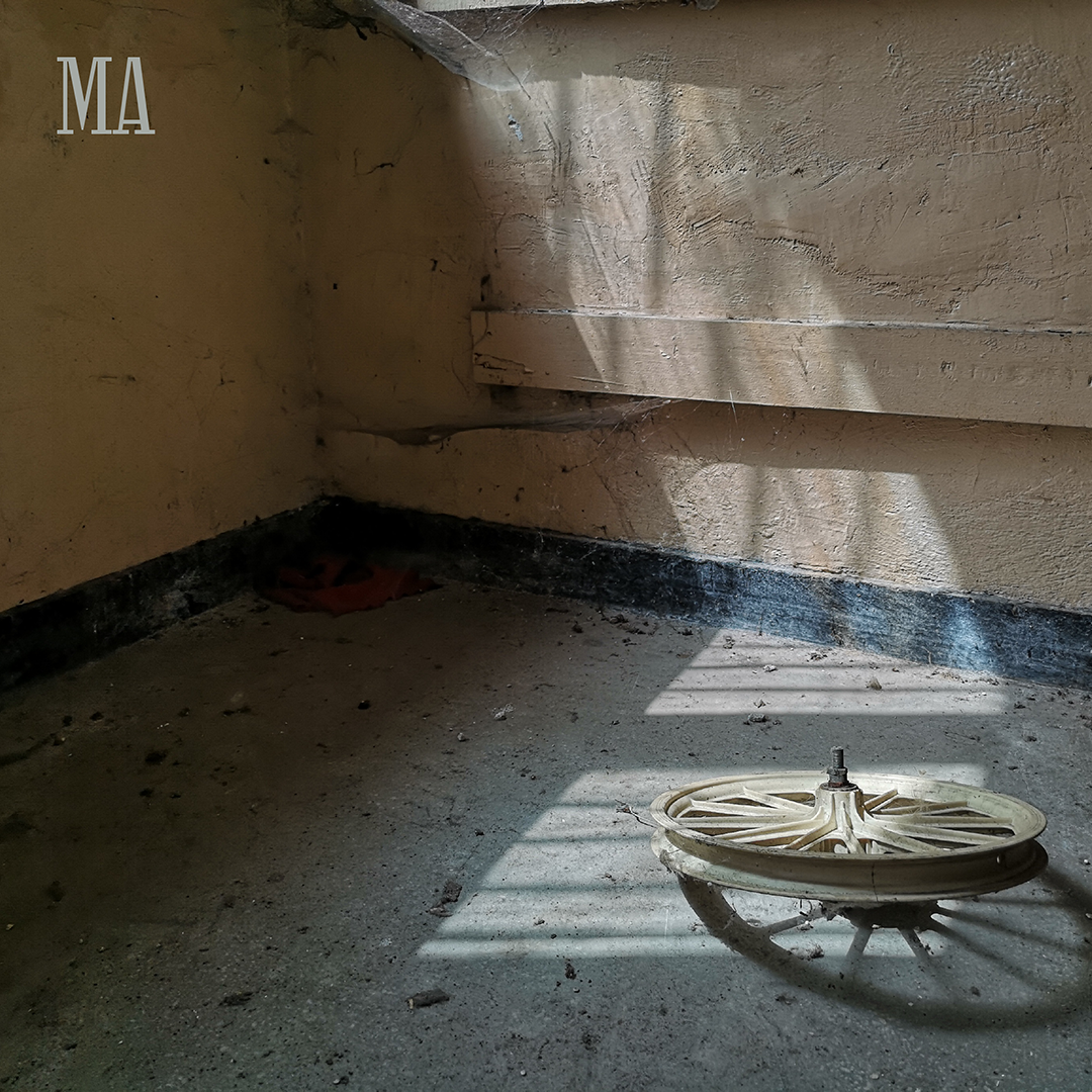 241827096 117682400628719 3730493069685373109 n 2