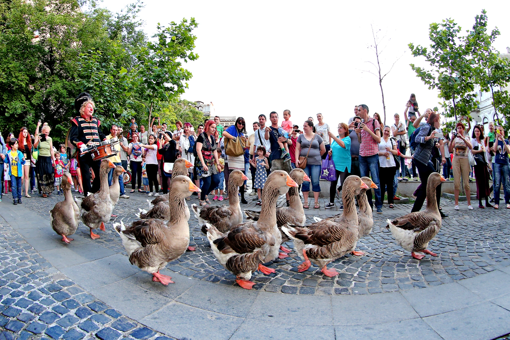 B FIT 10 iunie foto Sorin Toma Ducks Parade