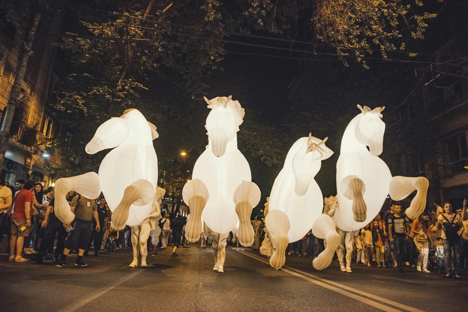 B FIT 11 iunie foto Alberto Grosescu Horses of light